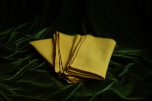 napkins folded on a velvet table cloth